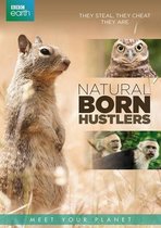 Bbc Earth; Natural Born Hustlers