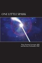 One Little Spark