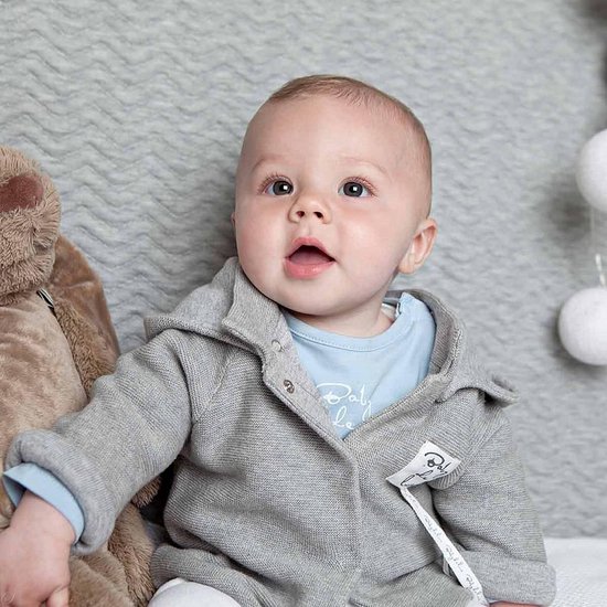 Baby de Luxe Gebreid baby vestje grijs - - Maat 2 | bol.com