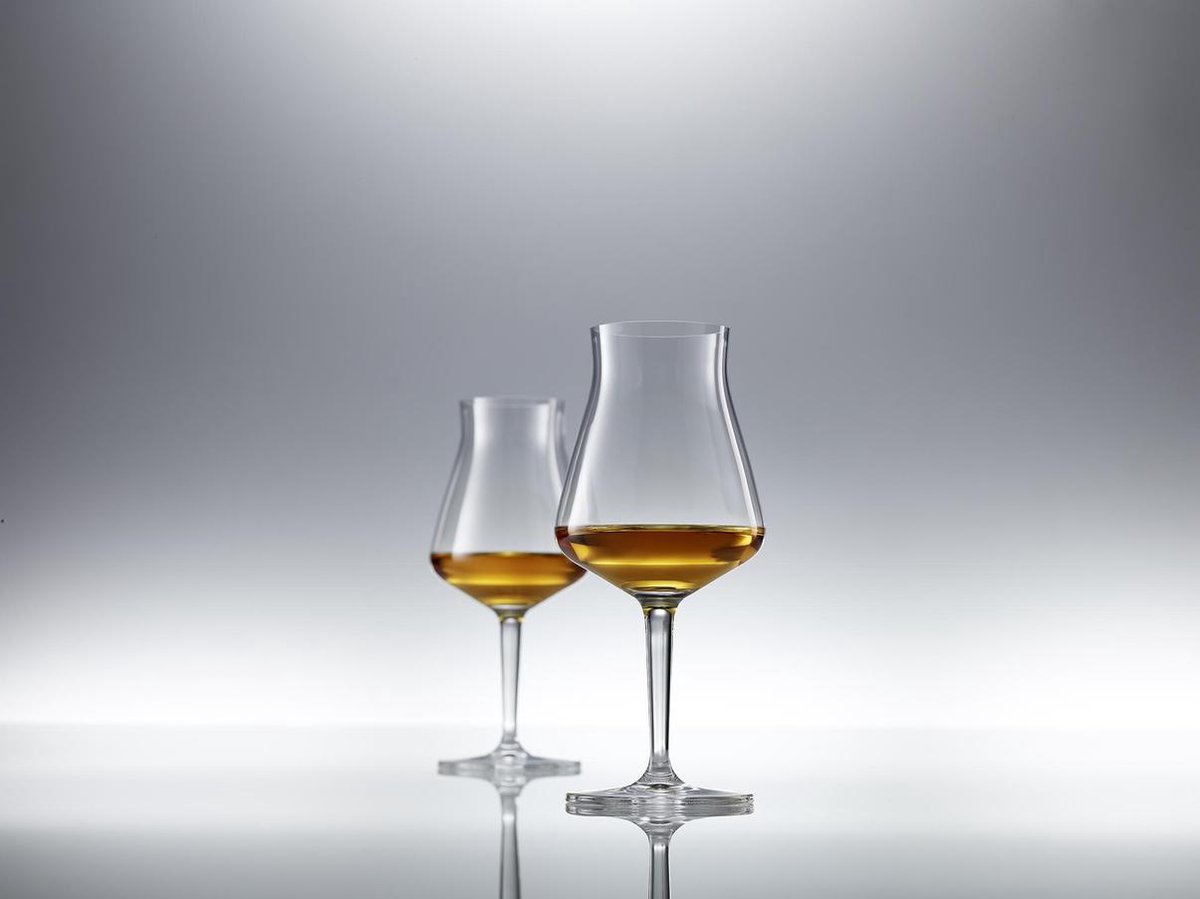 Schott Zwiesel Basic Bar Selection Whisky Nosing