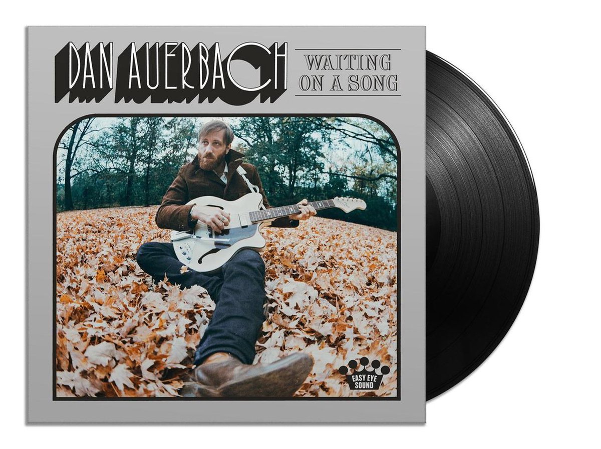 Waiting On A Song (LP)
