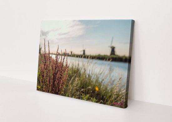 Canvasdoek - Schilderij - Molenkade Kinderdijk Plant Natuur Stichting By Amanda - Groen, Blauw En Rood - 100 X 150 Cm