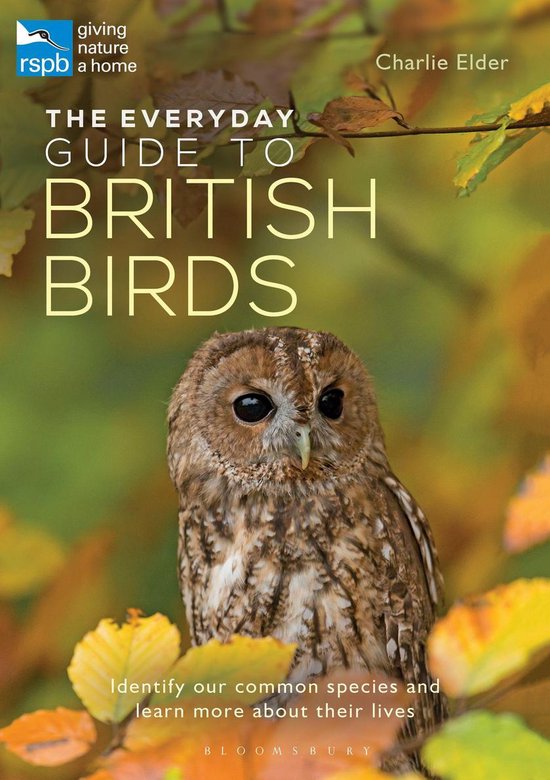 RSPB - The Everyday Guide to British Birds - cover