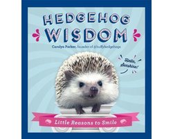 Hedgehog Wisdom