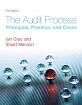 Audit Process