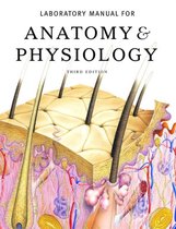 Anatomy and Physiology