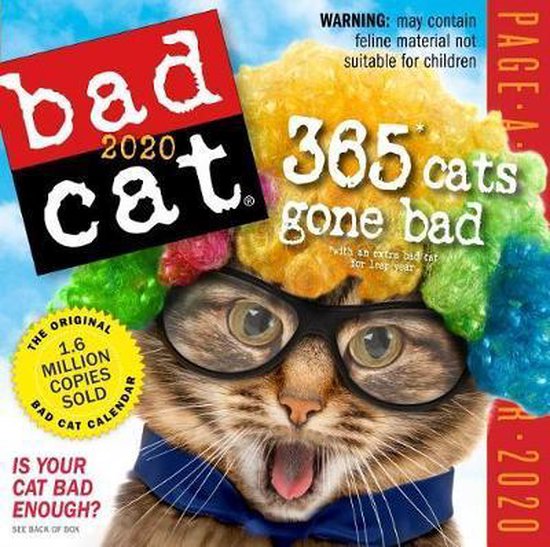 2020 Bad Cat Colour PageADay Calendar