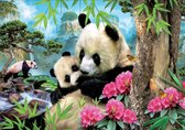 Legpuzzel - 1000 stukjes - Panda's - Educa puzzel