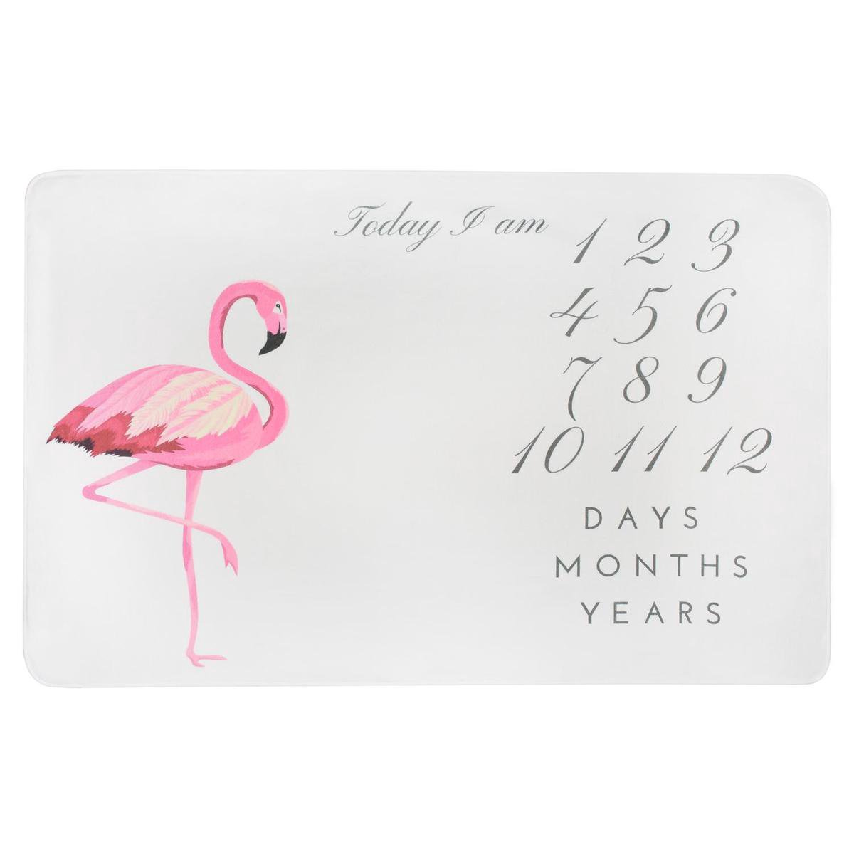 Baby Mijlpaaldeken Flamingo – Fotodeken voor Baby’s – Inclusief Markeerframe – Maand, Week & Jaar