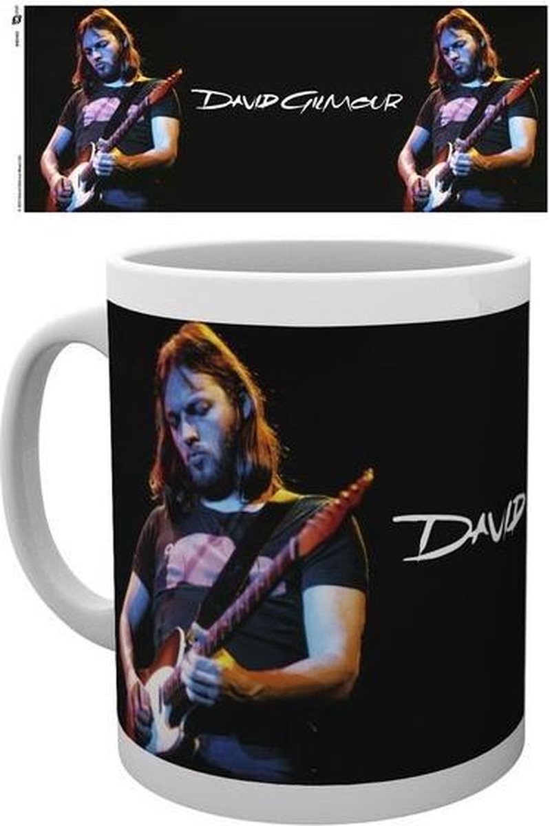 David Gilmour Live Photo Mok