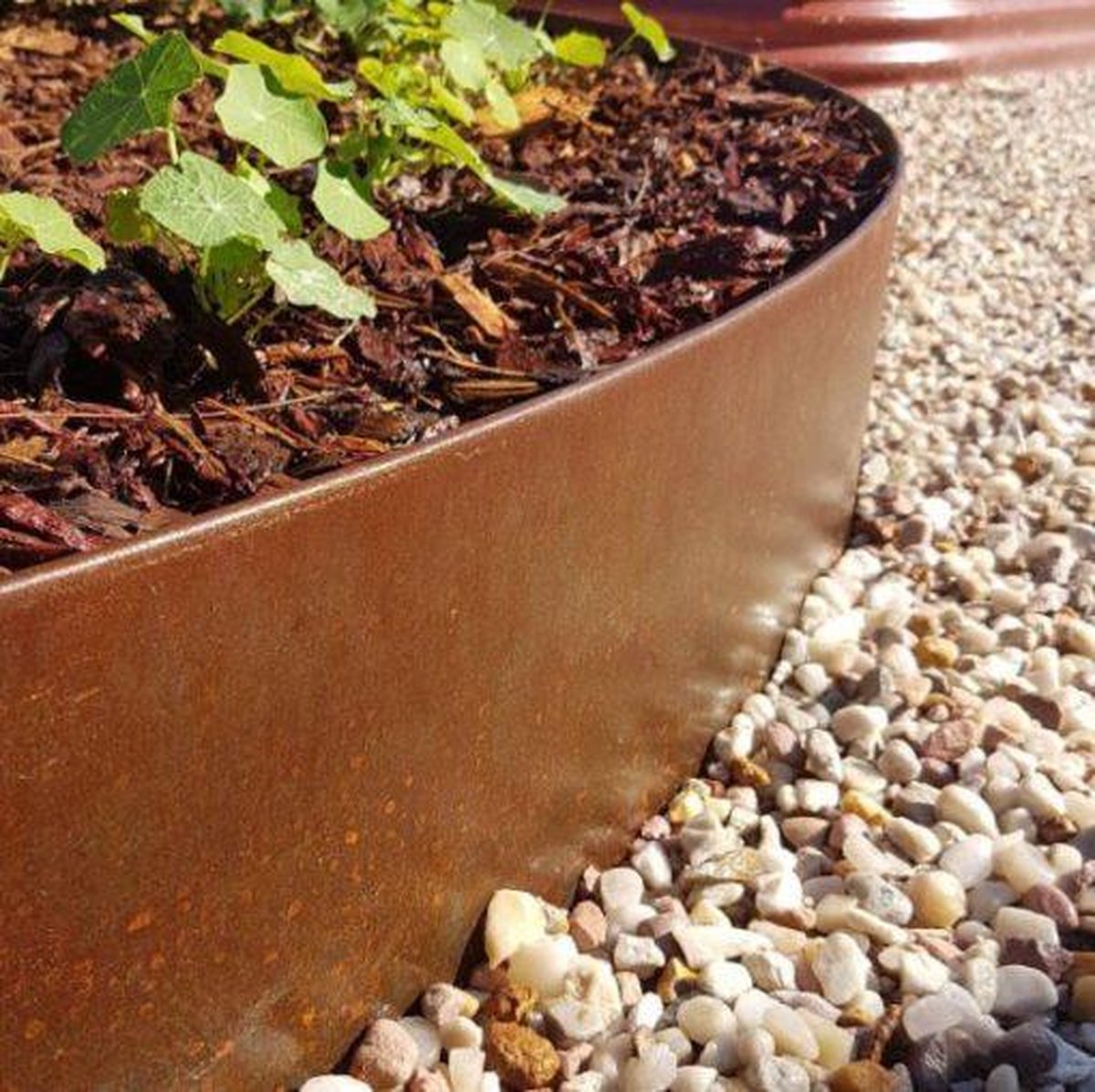 Straightcurve® Flex Border Edge Acier Corten 121,5x15cm - par 5 pièces