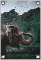 Tuinposter –Olifant gooiend met Aarde – 100x150cm Foto op Tuinposter (wanddecoratie voor buiten en binnen)