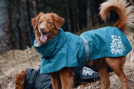 Aanbeveling Notebook Besmettelijk Hurtta Honden Regenjas - Monsoon Coat - Bilberry Blauw - 55cm | bol.com