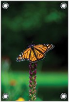 Tuinposter –Vlinder op Paarse Bloem – 60x90cm Foto op Tuinposter (wanddecoratie voor buiten en binnen)