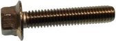 Yamaha/Parsun BOLT M6X30 (PAGB/T5787-M6X30)