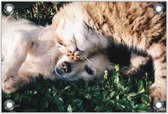 Tuinposter –Hond en Kat– 90x60cm Foto op Tuinposter (wanddecoratie voor buiten en binnen)