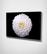 White Flower Canvas - 30 x 40 cm - Bloemen - Schilderij - Canvas - Slaapkamer - Wanddecoratie  - Slaapkamer - Foto op canvas