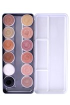 Schmink palet aqua skin tone met 12 kleuren - Superstar - Beigeen