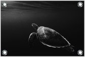 Tuinposter –Zee Schildpad– 90x60cm Foto op Tuinposter (wanddecoratie voor buiten en binnen)