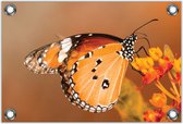 Tuinposter –Oranje Vlinder– 90x60cm Foto op Tuinposter (wanddecoratie voor buiten en binnen)