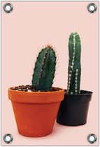 Tuinposter –Twee Cactussen op Roze achtergrond – 40x60cm Foto op Tuinposter (wanddecoratie voor buiten en binnen)