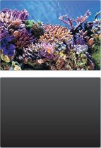 Superfish foto achterwand 2in1 Deco Poster A1 60x30cm