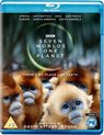 Seven Worlds, One Planet (Blu-ray)