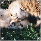 Tuinposter –Hond en Kat– 50x50cmFoto op Tuinposter (Wanddecoratie voor buiten en binnen)