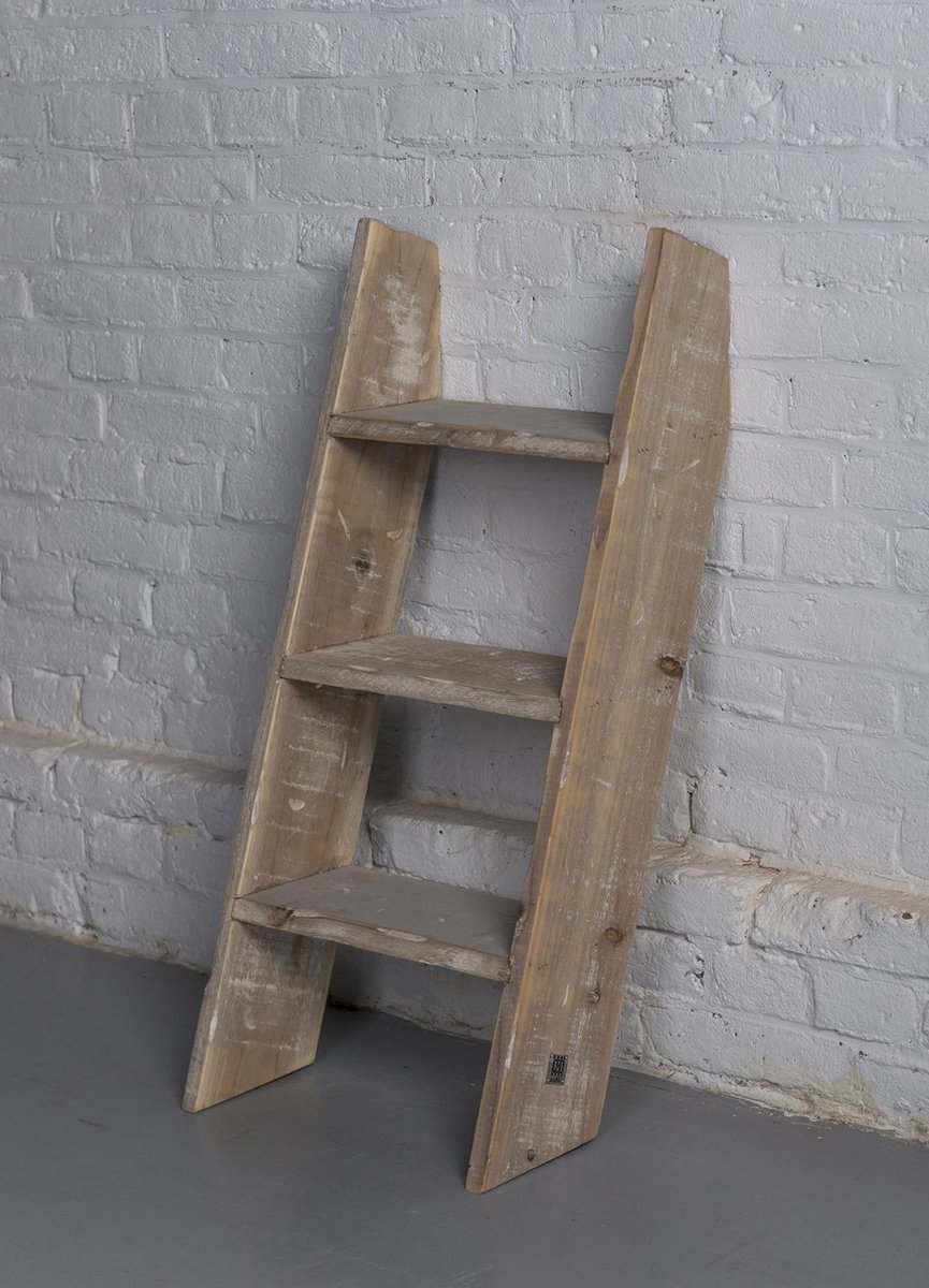 Monumentaal procedure rijkdom Decoratieve ladder | GerichteKeuze | bol.com