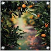 Tuinposter –Sinasappel Boomgaard– 50x50cmFoto op Tuinposter (Wanddecoratie voor buiten en binnen)