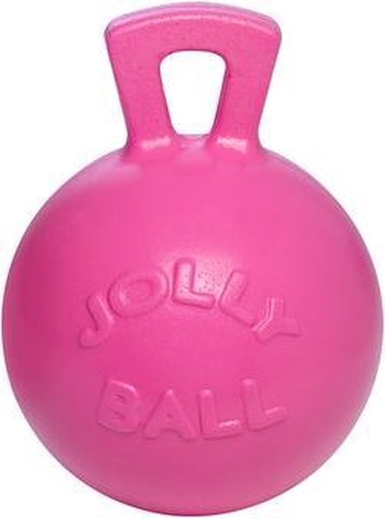 diep onze monteren RelaxPets - Jolly Ball - Speelbal - Paard - Roze - Bubbelgumgeur - 25cm |  bol.com