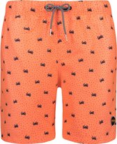 Shiwi Men Swimshort Crabby - oranje - xl