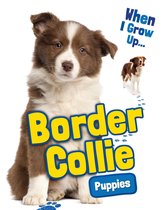 When I Grow Up... - Border Collie Puppies