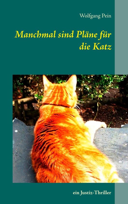 Manchmal sind Pläne für die Katz - cover