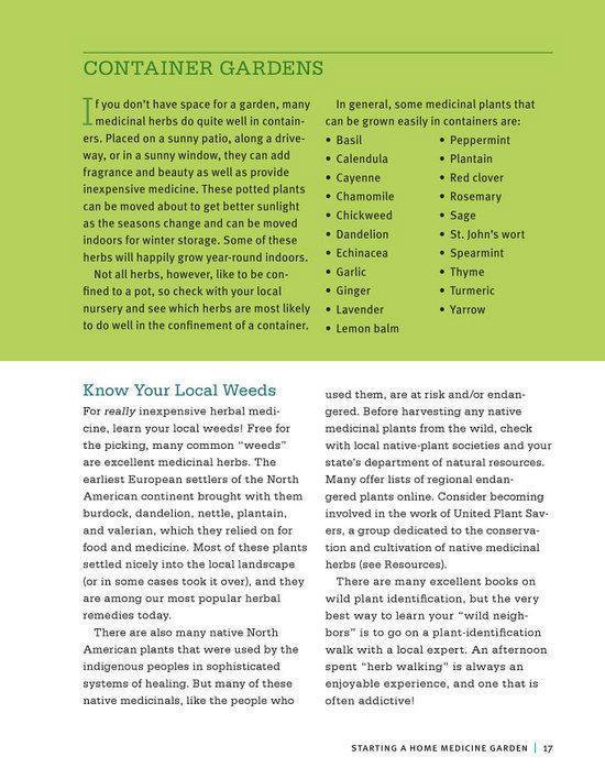 Beginners Guide To Medicinal Herbs