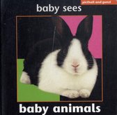Baby Sees Animals