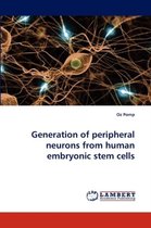 Generation of peripheral neurons from human embryonic stem cells