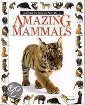 Amazing Mammals