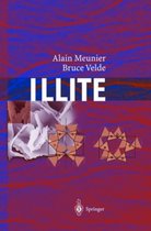 Illite: Origins, Evolution and Metamorphism