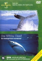 Humpbach Whale & Great White Shark (D)
