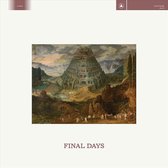 Cult Of Youth - Final Days (LP)