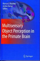 Multisensory Object Perception in the Primate Brain