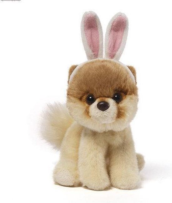 gevolgtrekking ga werken bidden Boo the World's Cutest Dog - BOO Itty Bitty Boo Bunny Ears | bol.com