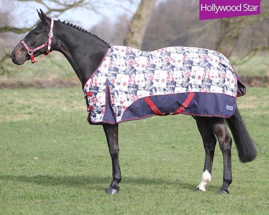 Golven dilemma Zegevieren Buitendeken 300 gram Hollywood Star paardendeken maat 195 | bol.com