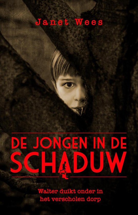De jongen in de schaduw - cover