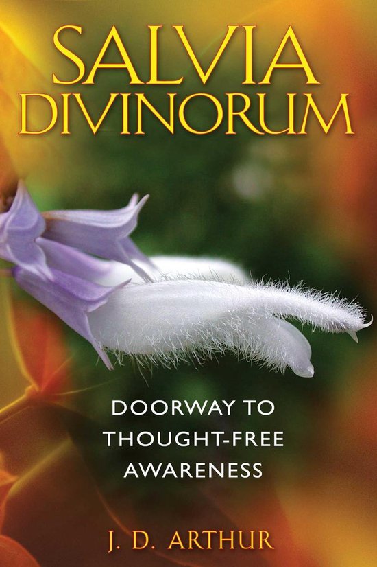 Salvia Divinorum - cover