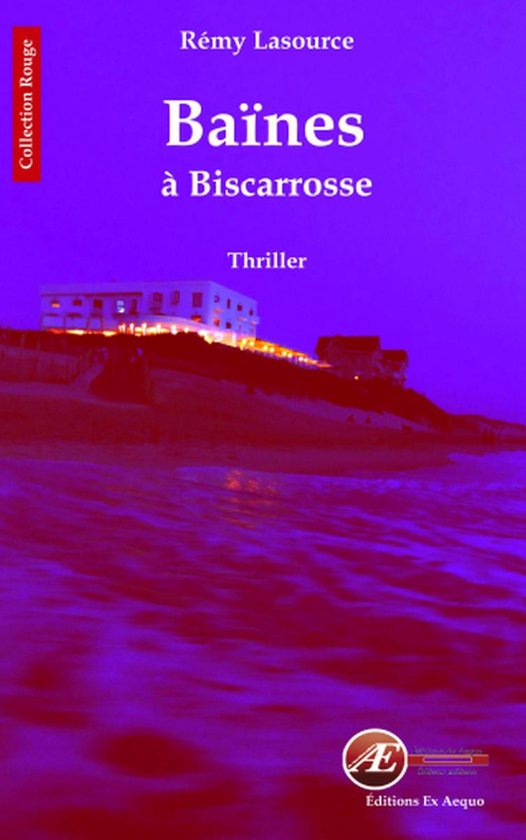 Les chroniques policières de Biscarrosse 2 - Les chroniques policières de Biscarrosse - Tome 2