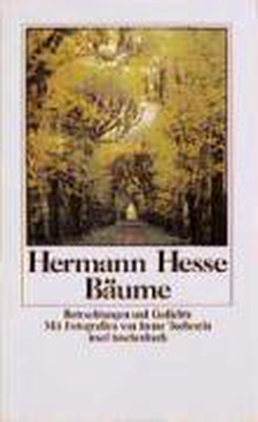 Livre 'Bäume' de Hermann Hesse, illustré par Irene Schoepflin. Un chemin à travers une forêt aux feuilles jaunes.