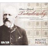 Tchaikovsky: Das Klavierwerk / the piano works