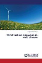 Wind Turbine Operation in Cold Climate